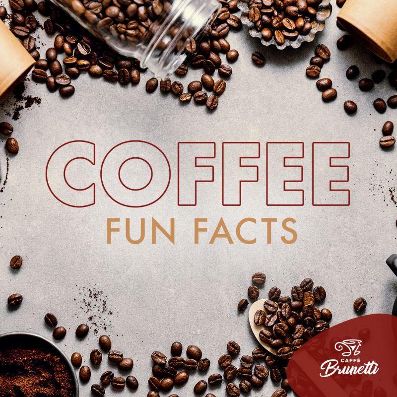 Coffee Fun Facts