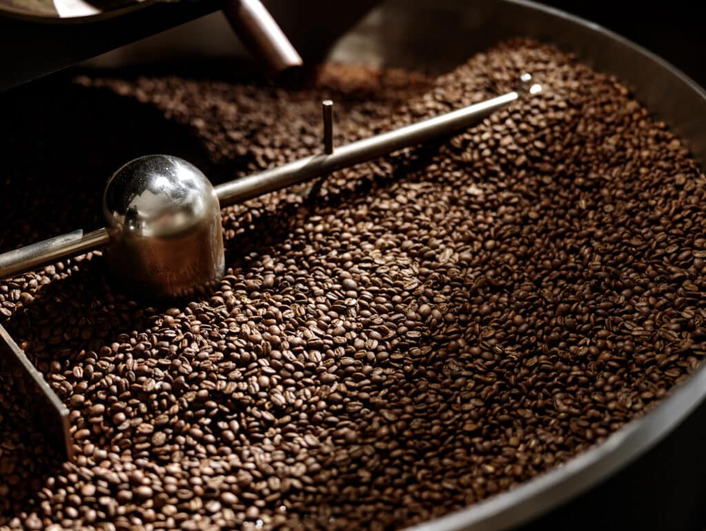Industrial coffee roasting machine with freshly roasted coffee beans in stainless steel cooling bin
