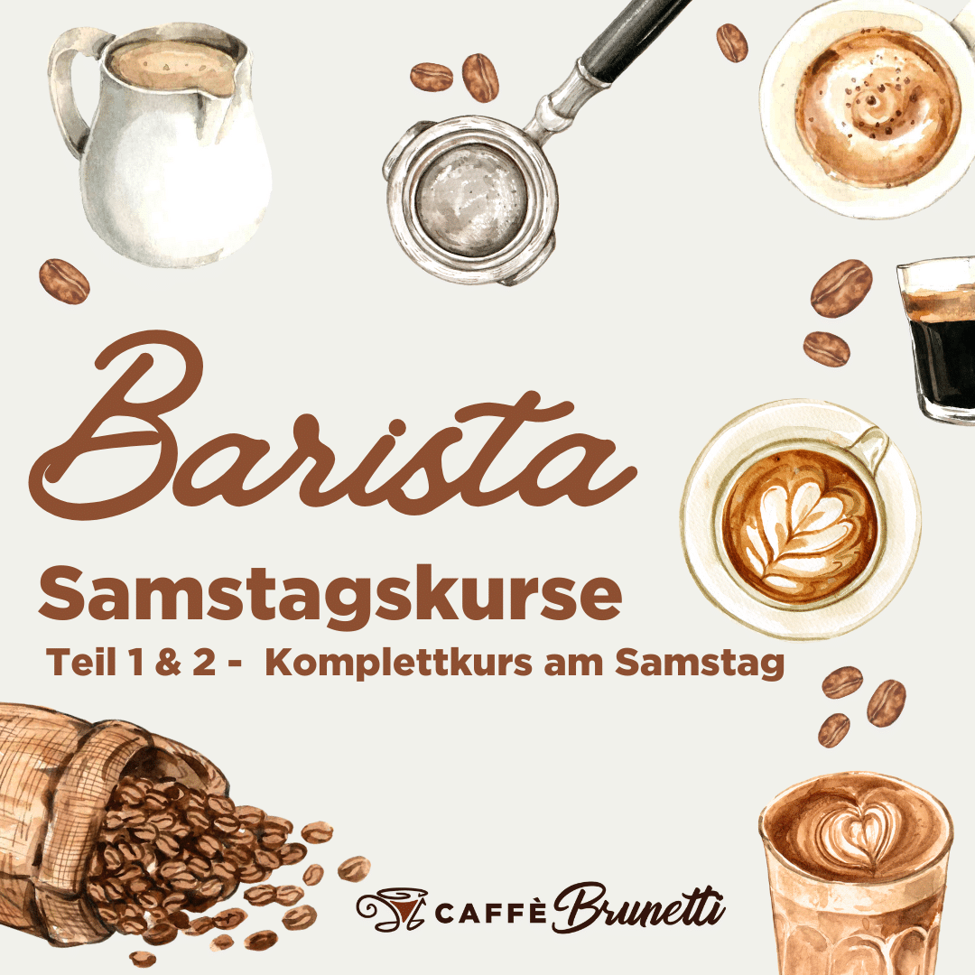 barista kurse komplettkurs samstag in nürnberg teil 1&2 (espresso, latte art, brewratio & maschinenpflege)