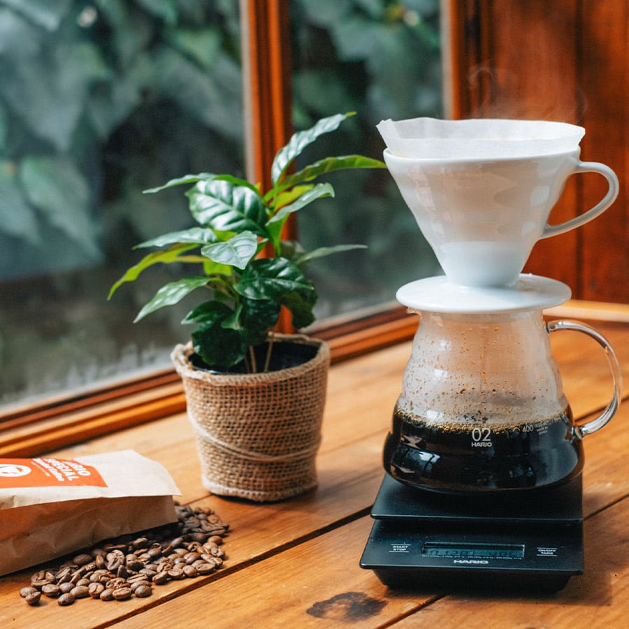 hario v60 dripper keramik 02, weiß