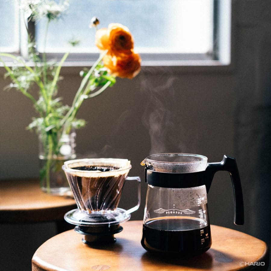 hario pegasus v60 dripper clear 02, transparent