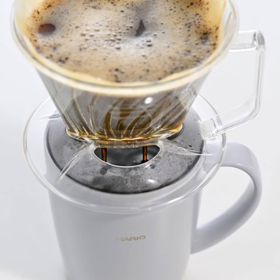 hario pegasus v60 dripper clear 02, transparent