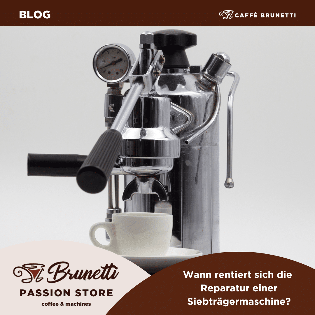 passion store (11)