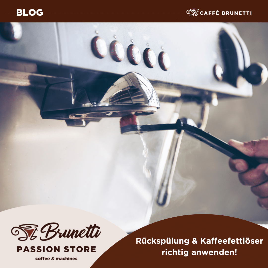 Rückspülung & Kaffeefettlöser richtig anwenden – So bleibt dein Siebträger sauber und leistungsfähig